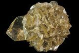 Twinned Selenite Crystals (Fluorescent) - Red River Floodway #77602-1